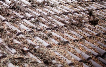 Boyton End roof cleaning companies